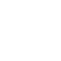 icon seo